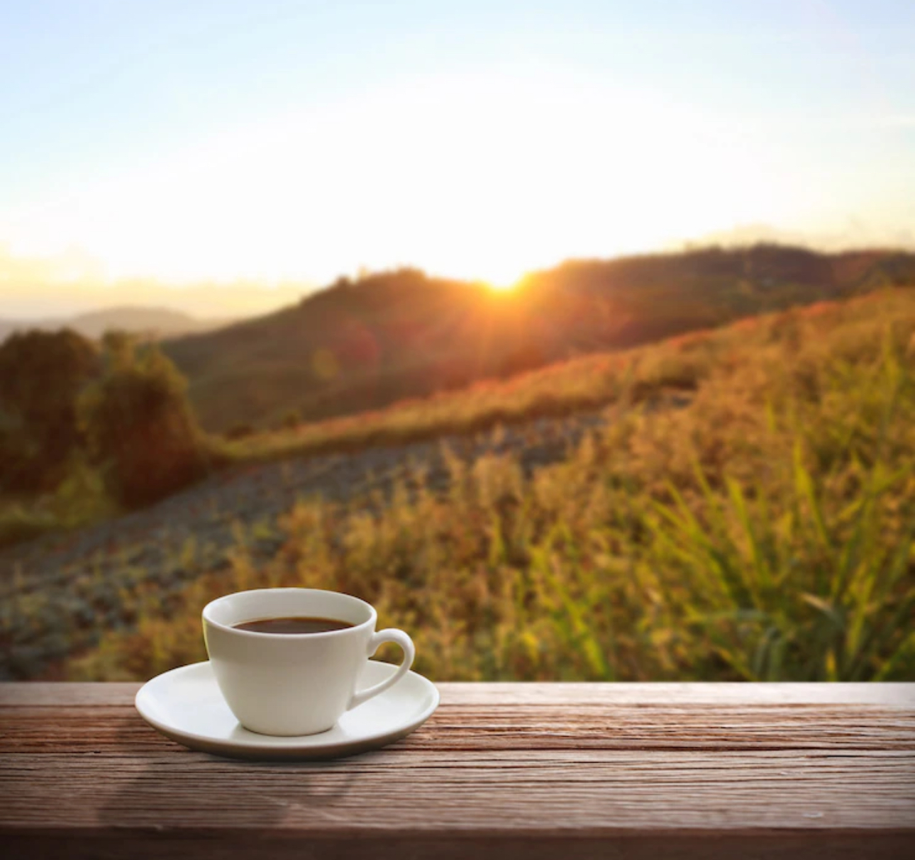 Կանգառ 5․ Թեյ/սուրճ և թեթև խորտիկներ